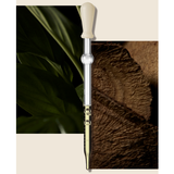 [Primera] Organience Barrier Repair Calming Essence Toner 160ml