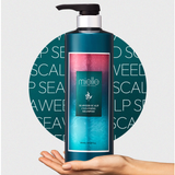 Mielle Seaweed Scalp Cleansing Shampoo 800ml
