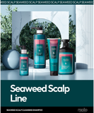 Mielle Seaweed Scalp Cleansing Shampoo 800ml