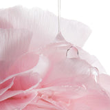 LANEIGE Bouncy & Firm Serum 30ml