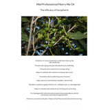 Mielle Professional Marry Me Oil Mist 120ml